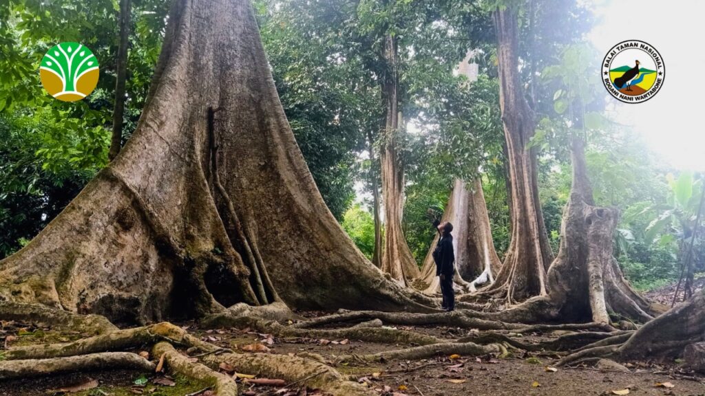 Kolaborasi Strategis dan Pengelolaan Adaptif