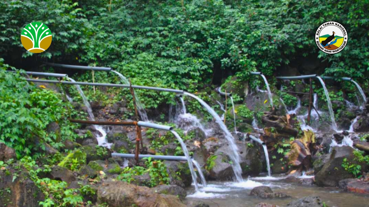 Pemanfaatan berkelanjutan jasa lingkungan