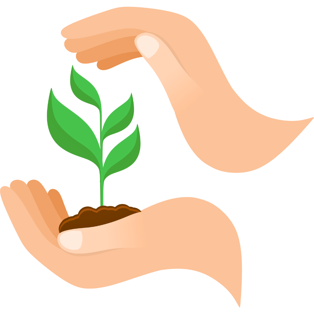 Pemulihan Ekosistem Hutan