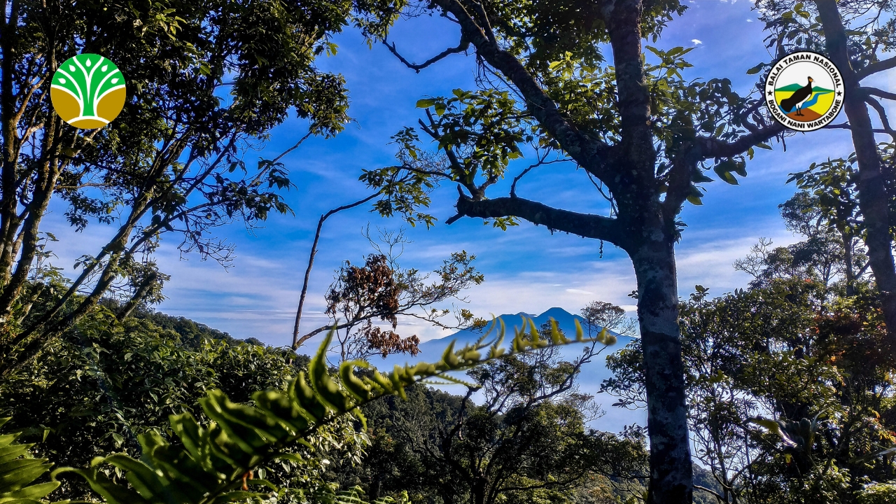 Taman Nasional Gunung Gede Pangrango