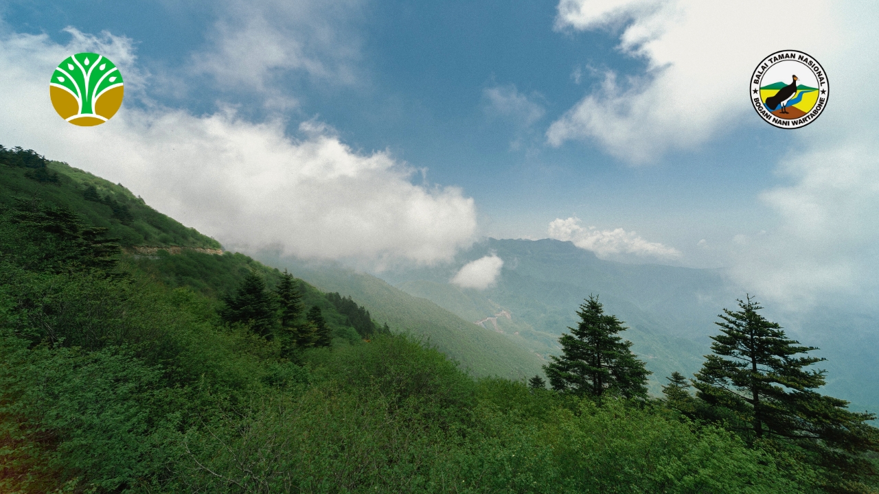 Taman Nasional Gunung Halimun Salak