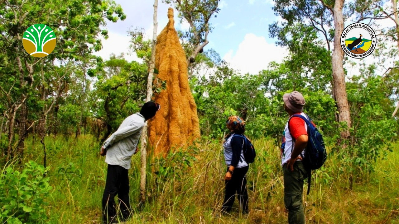 Taman Nasional Wasur